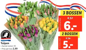 Lidl Tulpen aanbieding