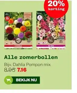 Welkoop Alle zomerbollen aanbieding