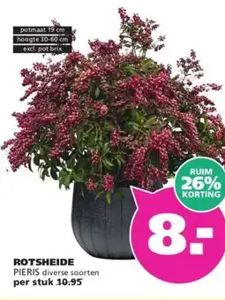 Ranzijn ROTSHEIDE PIERIS aanbieding