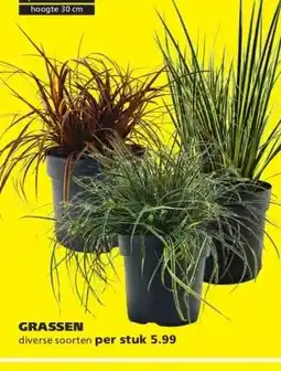 Ranzijn GRASSEN aanbieding