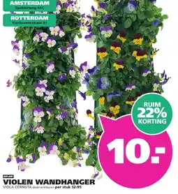 Ranzijn VIOLEN WANDHANGER VIOLA CORNUTA aanbieding