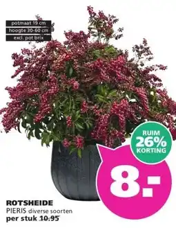 Ranzijn ROTSHEIDE PIERIS aanbieding
