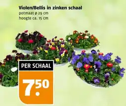 Poiesz Violen/Bellis in zinken schaal aanbieding