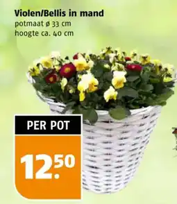 Poiesz Violen/Bellis in mand aanbieding