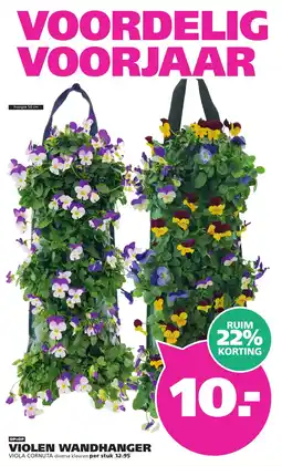 Ranzijn Viola Cornuta aanbieding