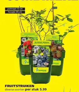 Ranzijn Fruitstruiken aanbieding