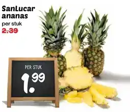 De Boerenschuur SanLucar ananas aanbieding