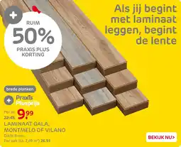 Praxis Laminaat Gala, Montmelo of Vilano aanbieding
