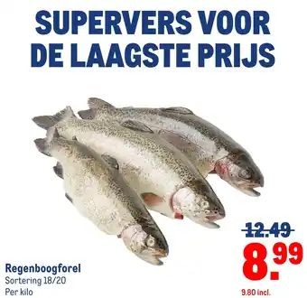 Makro Regenboogforel aanbieding
