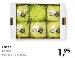 HANOS Frisée aanbieding