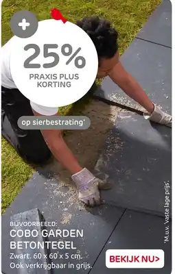 Praxis Op sierbestrating aanbieding