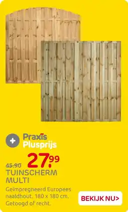 Praxis Tuinscherm multi aanbieding