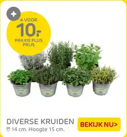 Praxis Diverse kruiden bekijk aanbieding