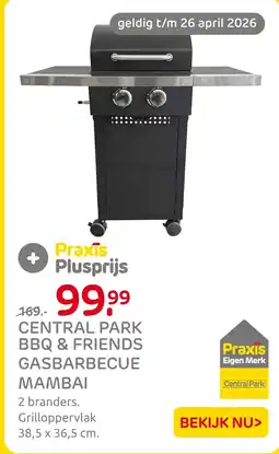 Praxis Central park bbq & friends gasbarbecue mambai aanbieding