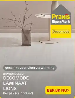 Praxis Decomode laminaat lions aanbieding