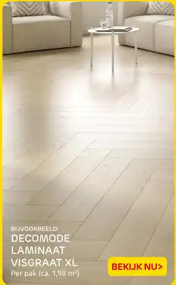 Praxis Decomode laminaat visgraat XL aanbieding