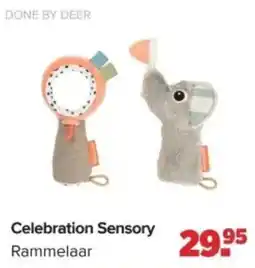 Baby-Dump Celebration Sensory aanbieding