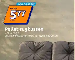 Action Pallet rugkussen aanbieding