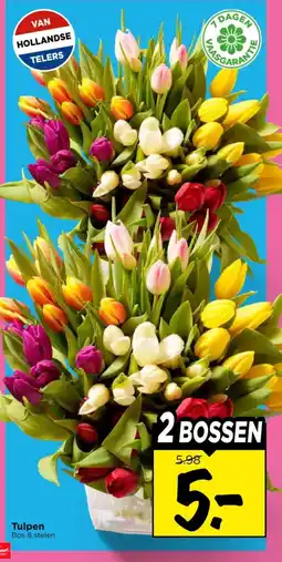 Vomar Voordeelmarkt Tulpen aanbieding