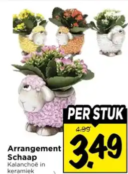 Vomar Voordeelmarkt Arrangement Schaap aanbieding
