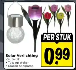 Vomar Voordeelmarkt Solar Verlichting aanbieding