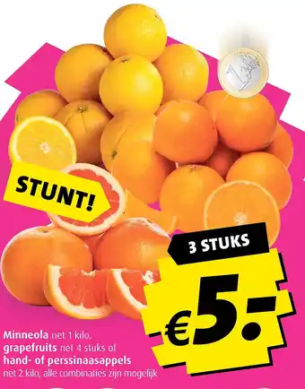 Discus Minneola, grapefruits, hand- of perssinaasappels aanbieding