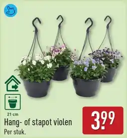 ALDI Hang- of stapot violen aanbieding