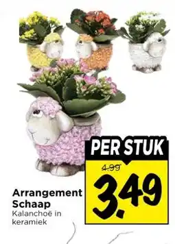 Vomar Voordeelmarkt Arrangement Schaap aanbieding
