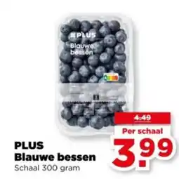 PLUS PLUS Blauwe bessen aanbieding
