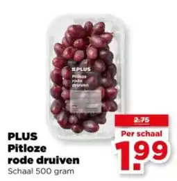 PLUS PLUS Pitloze rode druiven aanbieding
