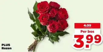 PLUS PLUS Rozen aanbieding