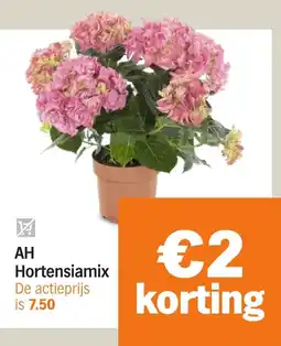 Albert Heijn AH Hortensiamix aanbieding