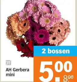 Albert Heijn AH Gerbera mini aanbieding