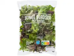 Hoogvliet Jonge bladsla met rucola aanbieding