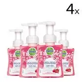 Bol.com DETTOL Wasmousse - Zachte Handzeep Antibacterieel - Roos & Kersenbloesem - 250ml x4 aanbieding
