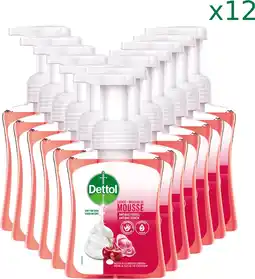 Bol.com Dettol Handzeep Zachte Mousse - Roos & Kersenbloesem - 250ml x12 aanbieding