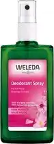 Bol.com WELEDA Wilde Rozen Deodorant Spray - 100ml aanbieding
