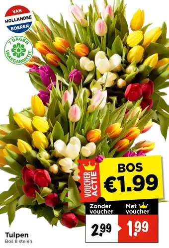 Vomar Voordeelmarkt Tulpen aanbieding