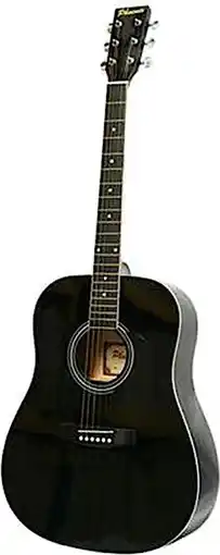 Bol.com Western Gitaar - Hoogglans Zwart aanbieding