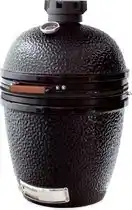 Bol.com The Bastard Medium Solo - Houtskoolbarbecue - Rooster 42 cm ø aanbieding