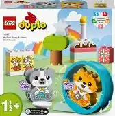 Bol.com LEGO DUPLO Mijn eerste Puppy en Kitten met geluid - 10977 aanbieding