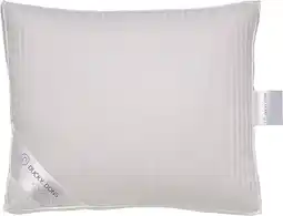 Bol.com Donzen Boxkussen 60% Dons aanbieding