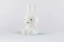 Wehkamp Mr Maria Nijntje Star Light lamp aanbieding