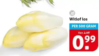 Hoogvliet Witlof los aanbieding