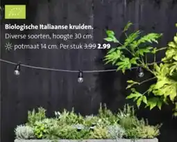 Intratuin Biologische Italiaanse Kruiden aanbieding