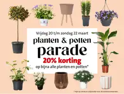 Intratuin Planten & potten parade aanbieding