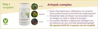 De Rode Pilaren Artisjok complex aanbieding