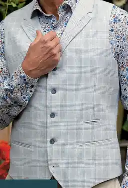 Van Dal Mannenmode Bartlett Gilet aanbieding