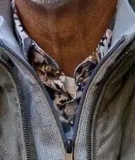 Van Dal Mannenmode Bartlett Classics Overhemd aanbieding