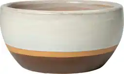 Intratuin Intratuin plantenschaal Evi crème / bruin D 44 H 21 cm aanbieding